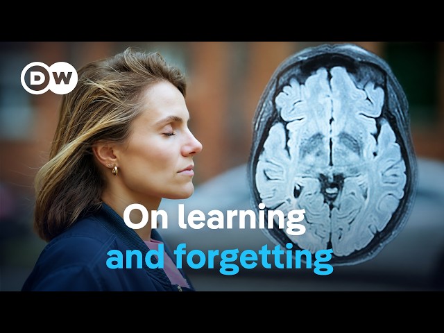 Our memory - A phenomenal storage system | DW Documentary