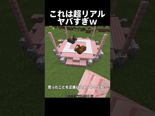 [Minecraft] It's so much like an amusement park #shorts #Minecraft