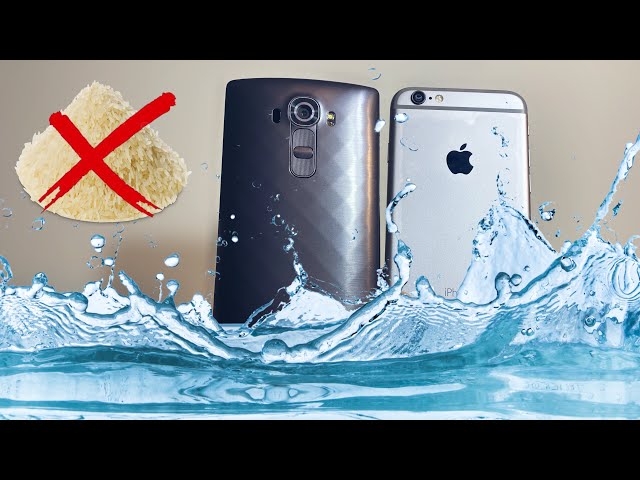 What To Do If Your Phone Fell In WATER/SALT WATER/SOLUTIONS