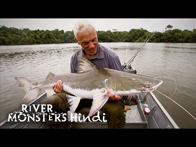 River Monsters Hindi S1E6 – Amazon Flesh Eaters ft. Piraíba (Redtail Catfish) | Ep 6