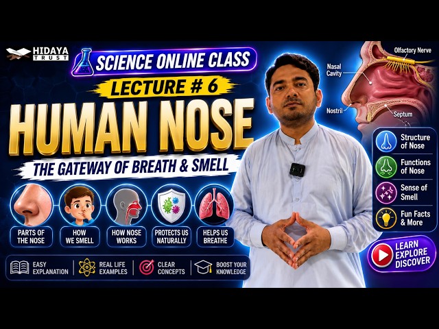 Science | Lecture No. 6 | Human Nose | Hidaya Trust