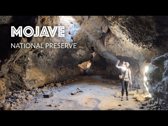 Mojave National Preserve - Things to Do