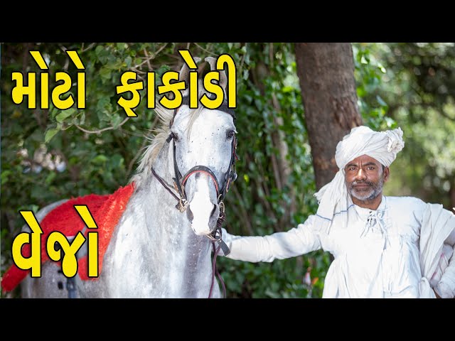 મોટો ફાંકોડી | દેશી વિડિયો  | Gujarati Comedy Video | Desi Paghadi