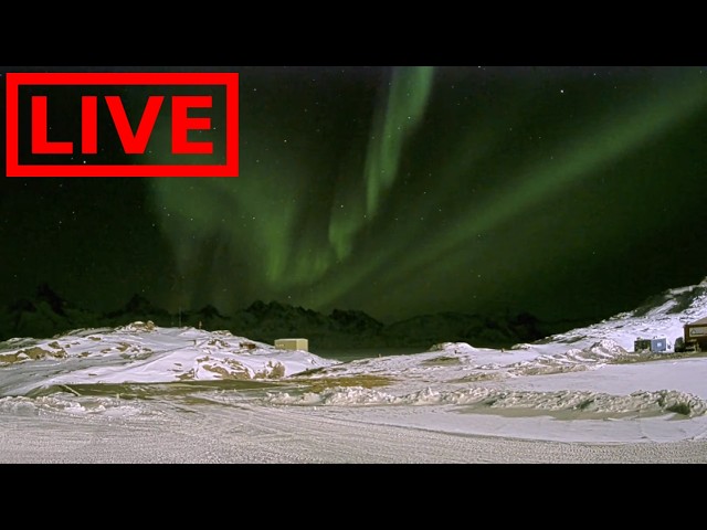 🌎 LIVE Greenland Auroras Northern Lights | Relaxing Music