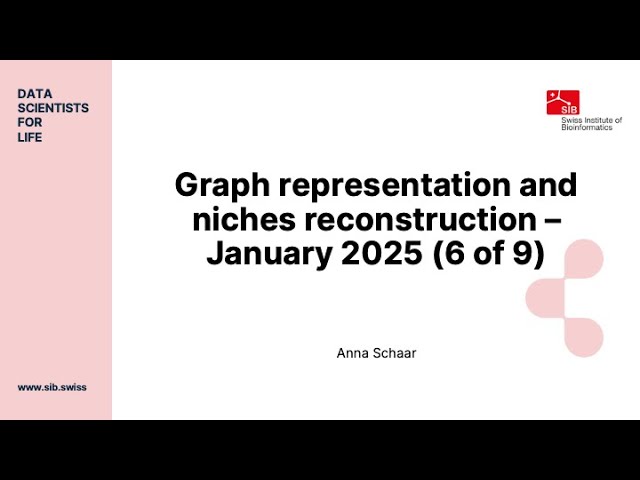 Graph representation and niches reconstruction - January 2025 (6 of 9)