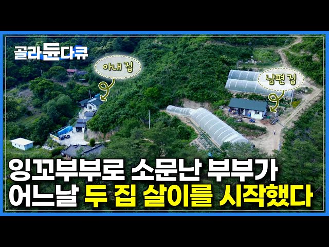 귀촌 포기할 때쯤 생긴 아내의 암도 함께 이겨내며 잉꼬부부가 따로 없던 그들이 두 집 살이를 시작한 이유ㅣ도시보다 잘 사는 건 아니지만 만족스럽게 산다는 남편ㅣ한국기행ㅣ#골라듄다큐