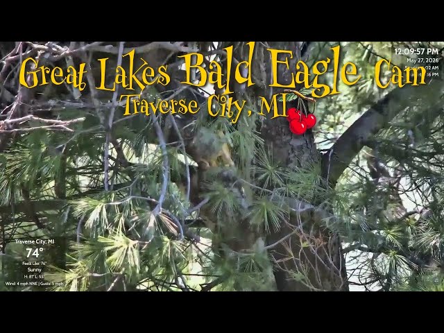🚨NEST UPDATE: SLO-MO Nest Break & Cam Survey of Structural Integrity 🦅| 5-27-26