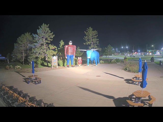 Paul Bunyan and Babe the Blue Ox Live Stream