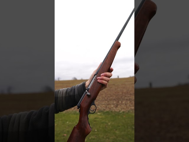 Escopeta de cerrojo Mossberg 173 calibre .410