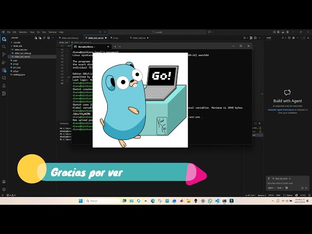 Programar Arduino solo con terminal: arduino-cli + servidor Python en Raspberry Pi