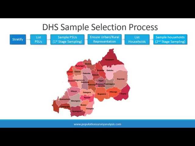 Data: What is the DHS? (Low)
