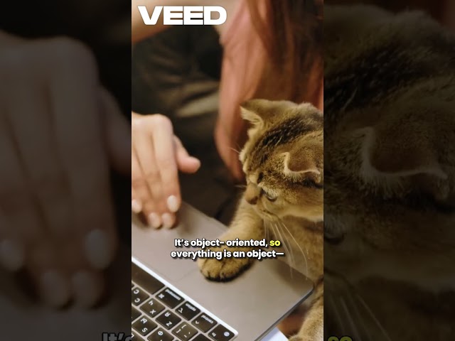 Bro, coding is actually easy!" — Who else felt this after watching?