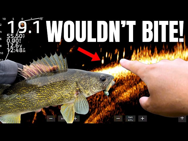 We FINALLY Figured Out These Impossible Walleyes!