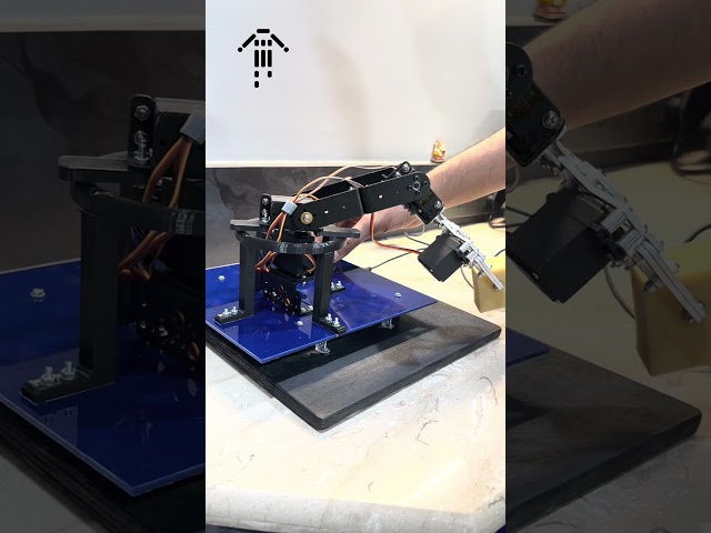 3 DOF Robotic Arm Working | #raliotech #mercury #diy