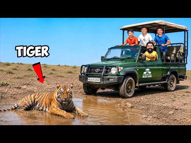 Meeting Real King of Jungle | Kabini Forest Safari | M4 Tech |