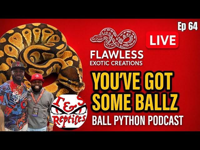 We Asked T & S Reptiles the TOUGHEST Questions… They Didn’t Hold Back! | Ep 64