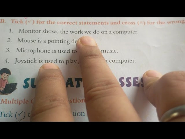 Computer Class 2 Chapter 3 True or False