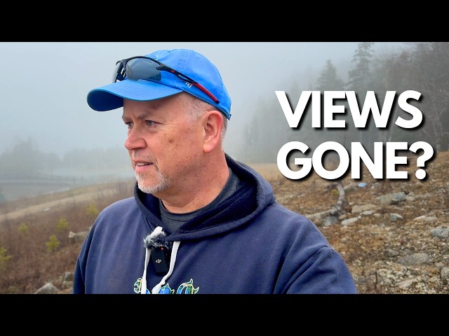 Your Impressions & Views are DOWN (mine too)... WHY??