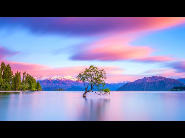 Relaxing Music for Stress Relief ~ Soothing Music for Meditation ~ Healing Therapy ~ Sleep ~ Spa