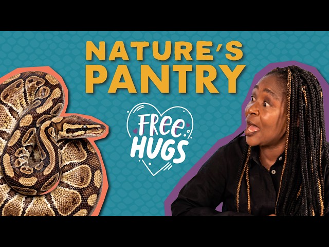 Wetland Grocery Store: How Animals Find, Hunt & Protect Their Food | S1E9 · That's Wild Arkansas