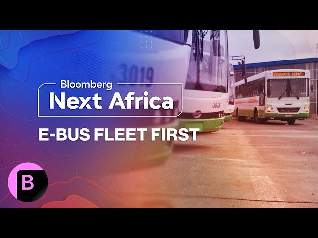 China's BYD Powers South Africa's First Large-Scale Electric Bus Fleet