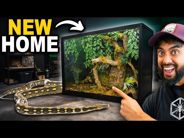 World's Largest Snake Gets New Home!