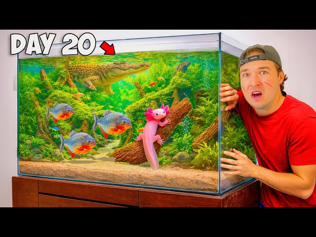30 Days Building a Tiny Ecosystem (with predators)
