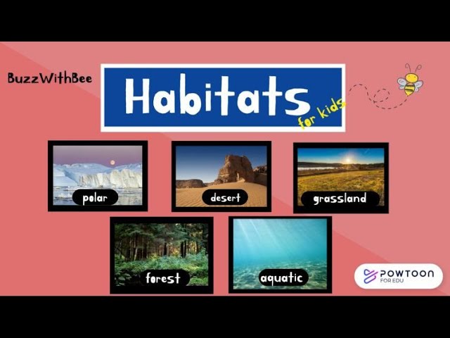 Habitats for Kids - Learn about Polar, Desert, Forest, Grassland and Aquatic Habitats.