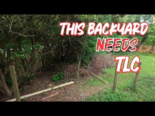 The Transformation Continues! | Cabinets, Landscaping & House Flip Progress
