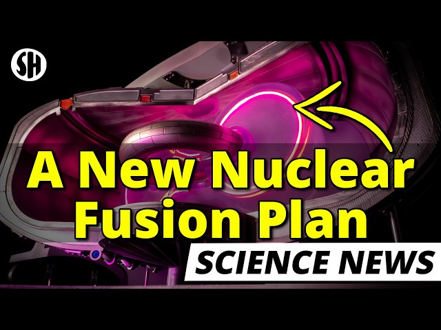 The First New Nuclear Fusion Idea for Decades