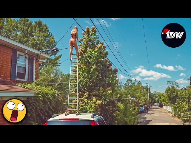 TOTAL IDIOTS AT WORK | Instant Regret Fails Compilation 2026 | Best Fails of the Week #201