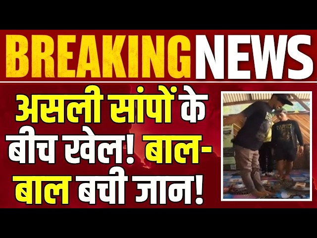 Indonesia में असली सांपों के साथ खेला Snake & Ladder, अचानक किया Attack! | India News |