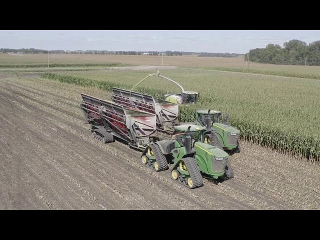 Riverview Dairy corn silage 2020