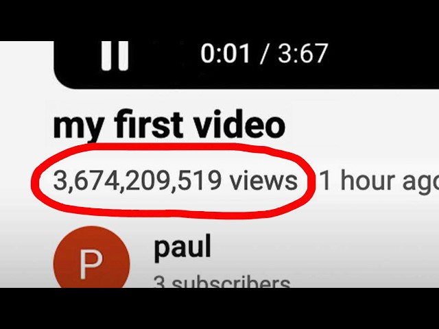 When a Youtuber buys fake views