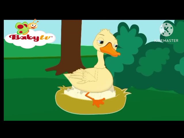 Todos mis patitos BabyTV