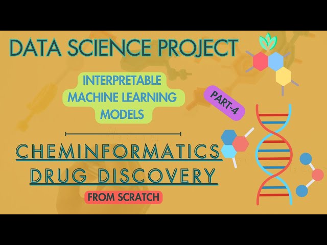 Build Your First Machine Learning Project - Part 4 (Interpretable Models)