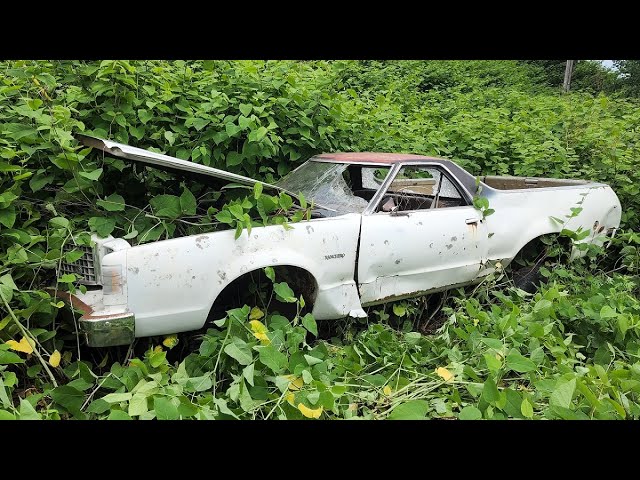 Junkyard 4x4 Ford RANCHERO Will It Run? - NNKH