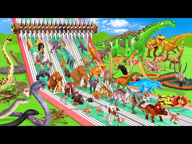 Animals Vs Dinosaurs Vs Reptiles Spike Roller Challenge Who Will Win? Animal Revolt Battle Simulator