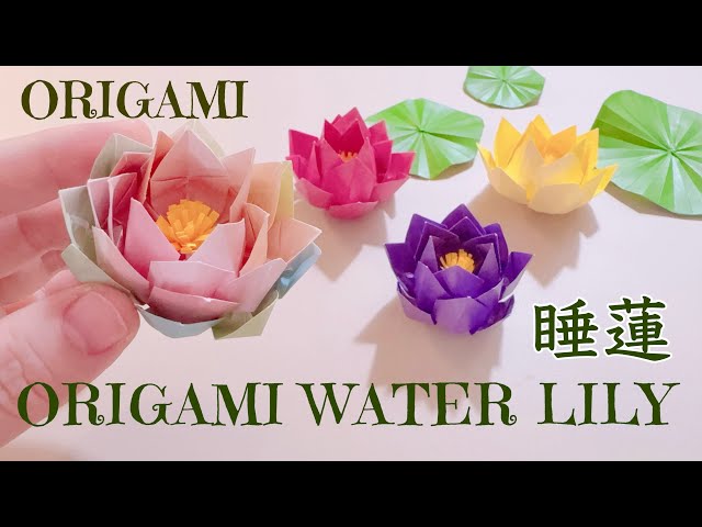 睡蓮の折り方Origami Water Lily Tutorial #折り紙 #睡蓮 #Origami #WaterLily #折り紙アート #OrigamiTutorial