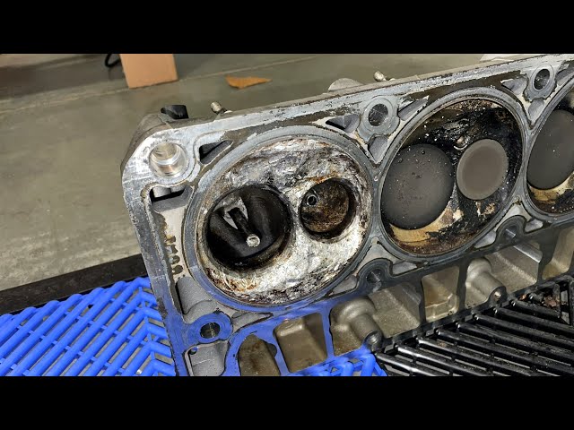 Why everyone is scared of LS7’s