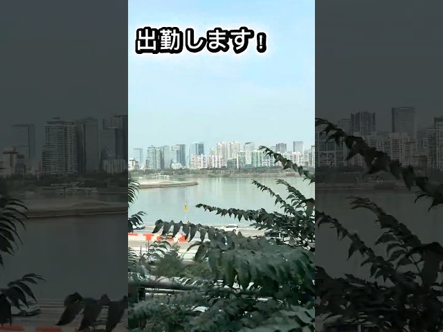 (JP/KR) 韓国社会人3年目の平日の1日の流れVLOG　#韓国　#외노자 #일본인 #워홀 #グルメ #韓国料理 #ソウル