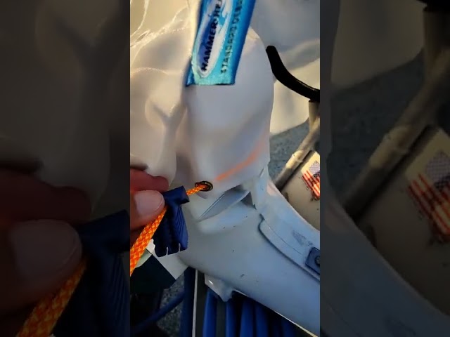 Great Pool Vacuum!