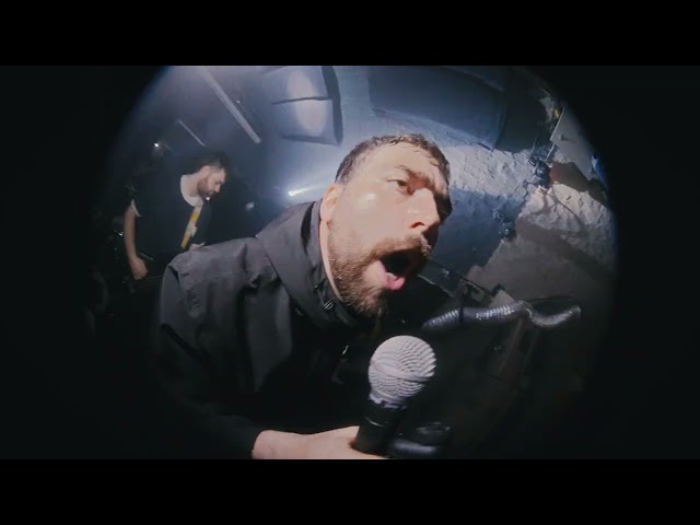 Gallus - Letter From America