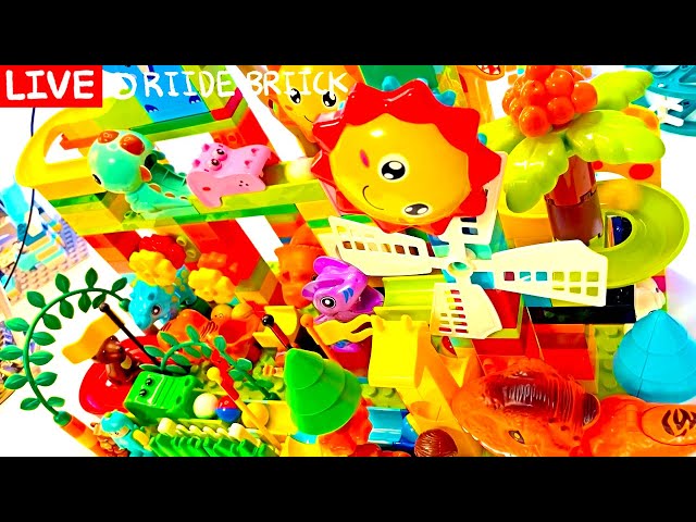 🧘 7 Hour Zen Marble Run | Pure ASMR for Deep Relaxation & Better Sleep