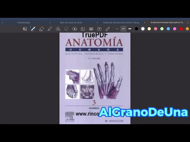 Anatomía Humana Descriptiva Topográfica funcional de Rouviere ( 4 tomos )