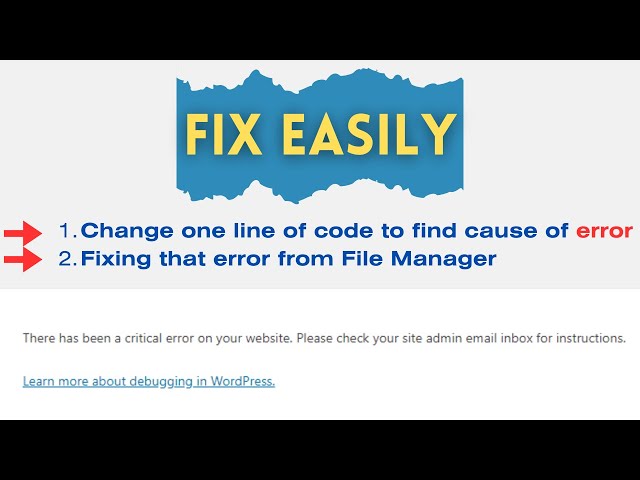 Fix! There has been a critical error on your website | WP Debug and WP Debug Display