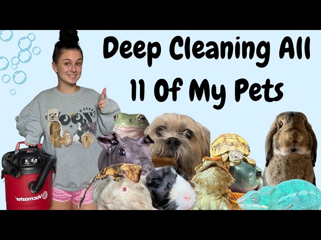 Deep Clean ALL My Pets With Me!!