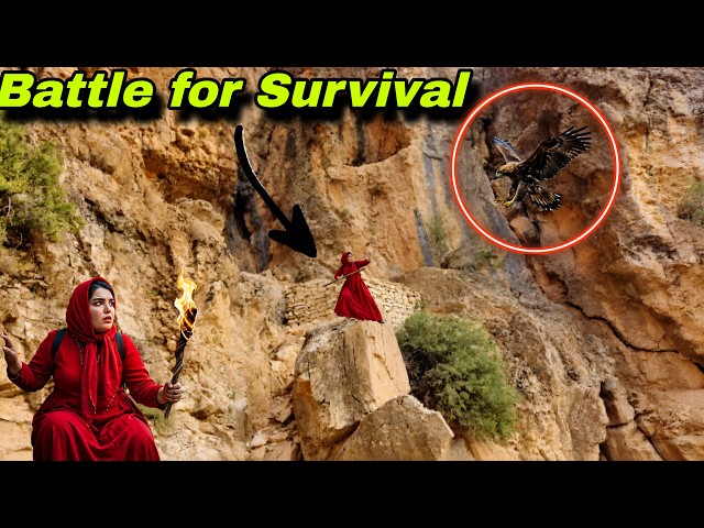 True Story: Zeynab Surrounded by Hunting Eagles… A Fight for Survival in the Mountains