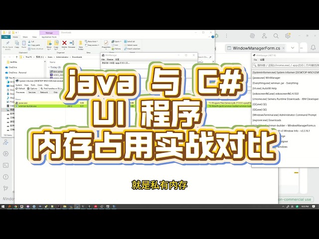 Java与 C# GUI 程序内存占用实战对比 ，Swing VS WinForm