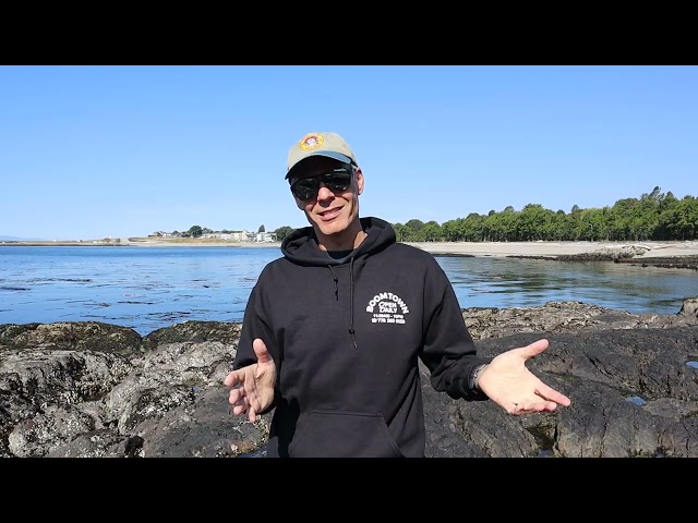 Grateful Dead Seaside Chat: Dave's Picks Volume 59
